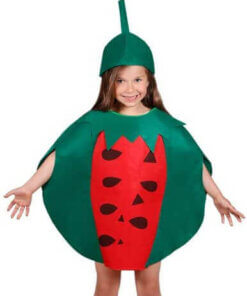 Fun Fruit Watermelon Costume