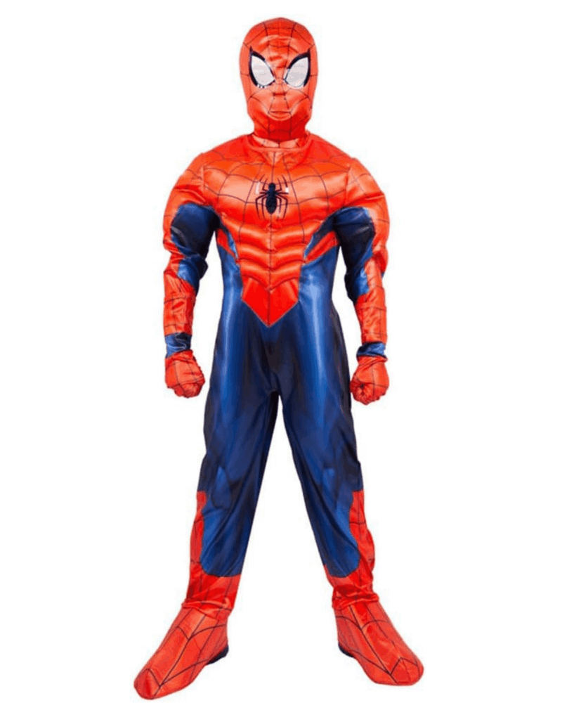 SpiderMan Deluxe Costume
