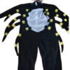 Spider Costume