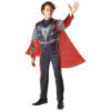 Thor Deluxe Costume for Adult - Thor Costumes for Men