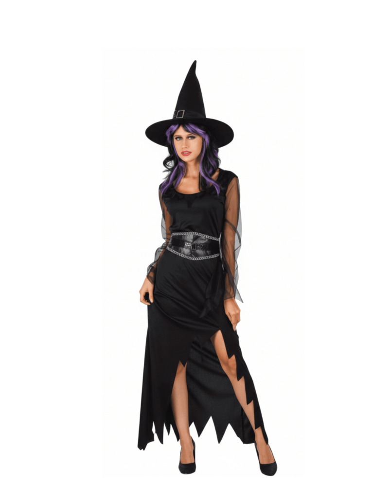 Classic Witch Costume Medium Size