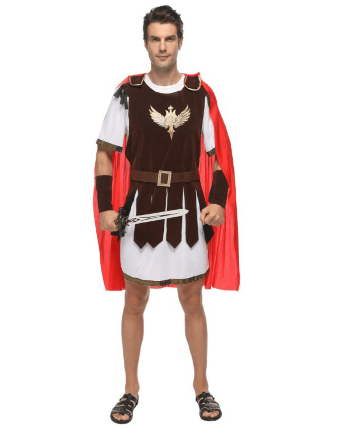 Brave Medieval Warrior