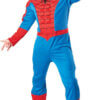 Spiderman Adult Costume