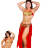belly dance costume, women dance outfit, oriental costume, arabian costume, adult performance wear