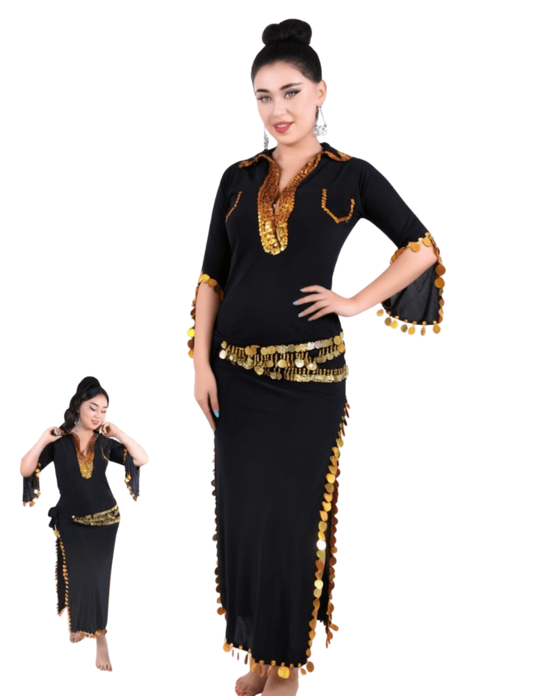 Belly Dance Costume for Women – Premium Coin Trim Arabic Dance Dress | Adult Performance & Party Wear (New Collection)