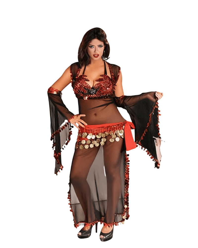 Arabian Belly Dancer Costume – Red & Black Dance Outfit with Coin Belt